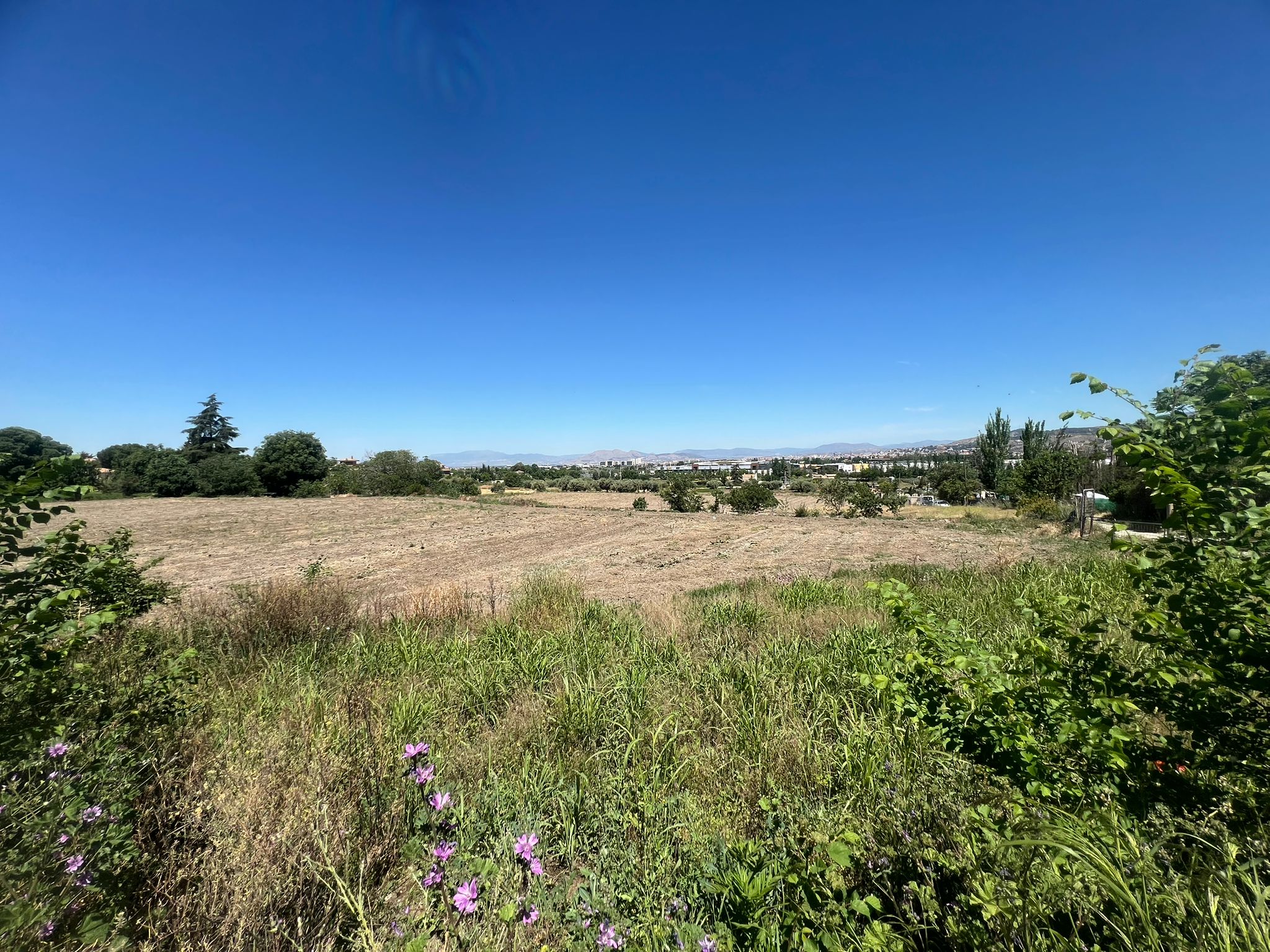 Terreno Urbano en La Zubia